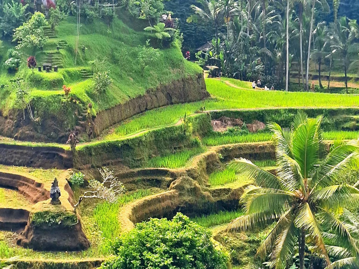 Bali-vacation from the&nbsp;boat
